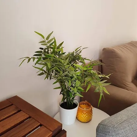 Appartement Casinha Dos Passis *